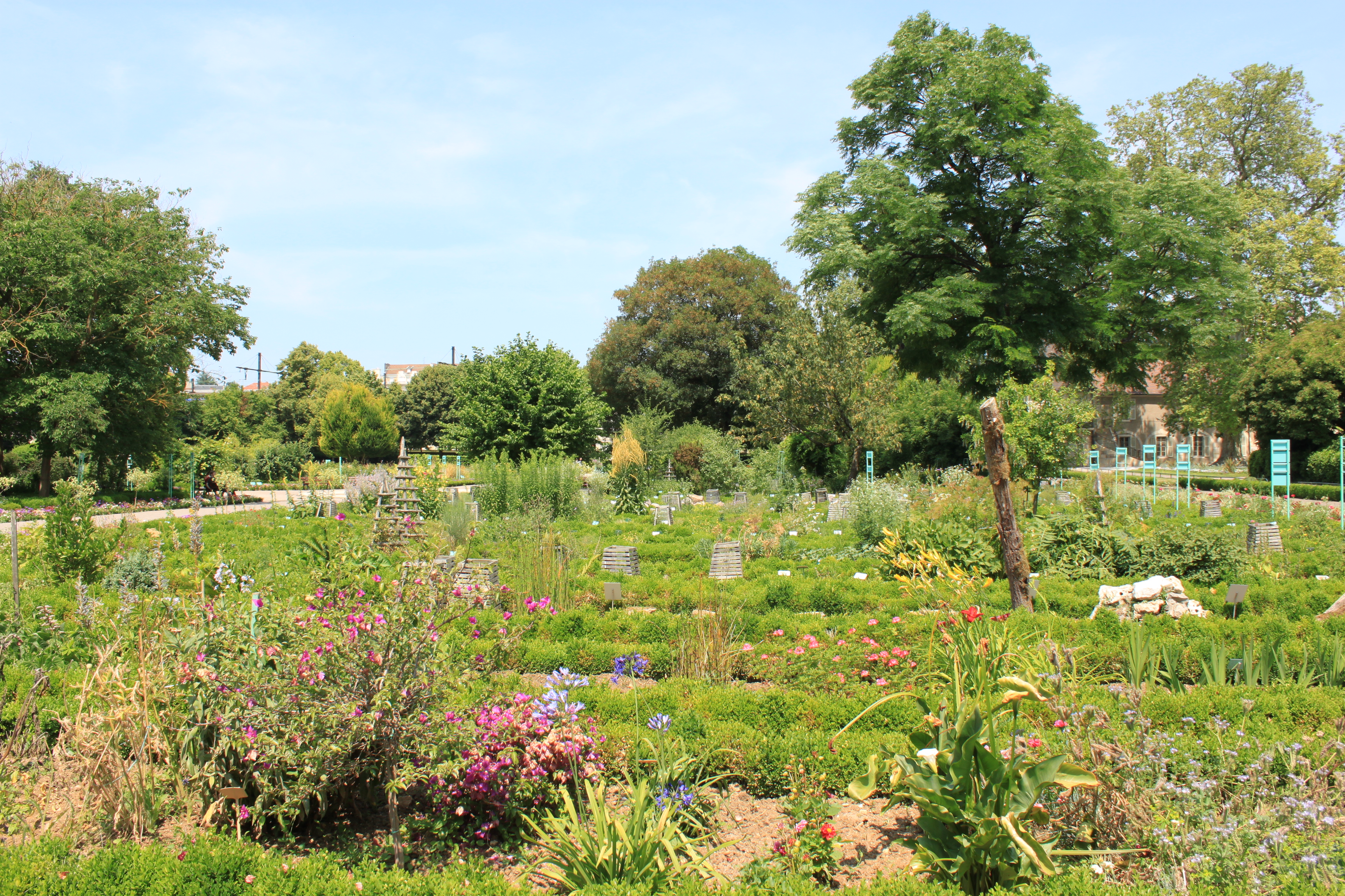 Dijon jardin de l'arquebuse @Christophe.Finot Wikimedia Commons